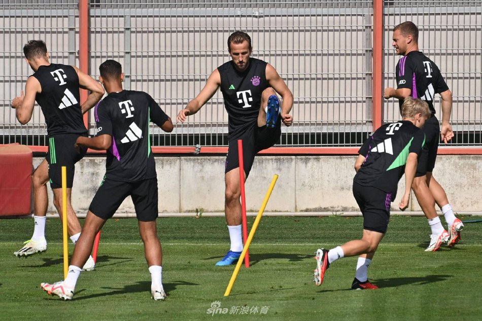 仅暴露了两 仅暴露了两